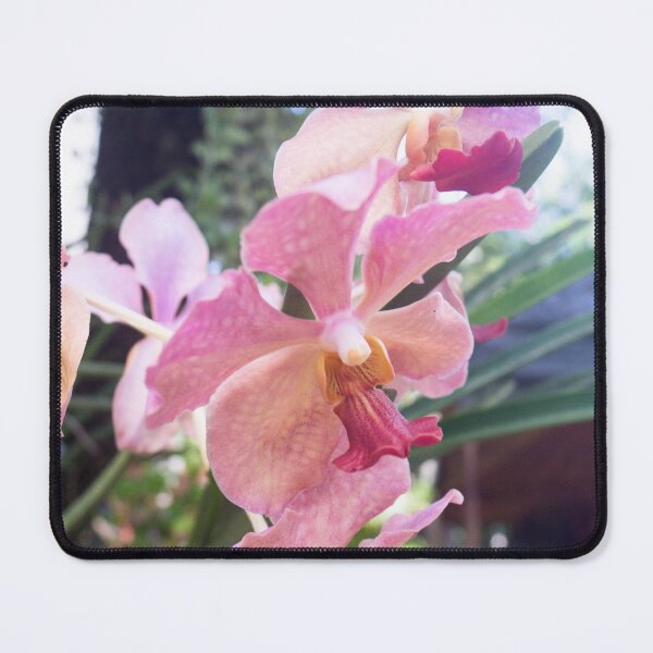 Item preview, Vanda alliance orchids designed and sold by ROSE ANN BANILAR.