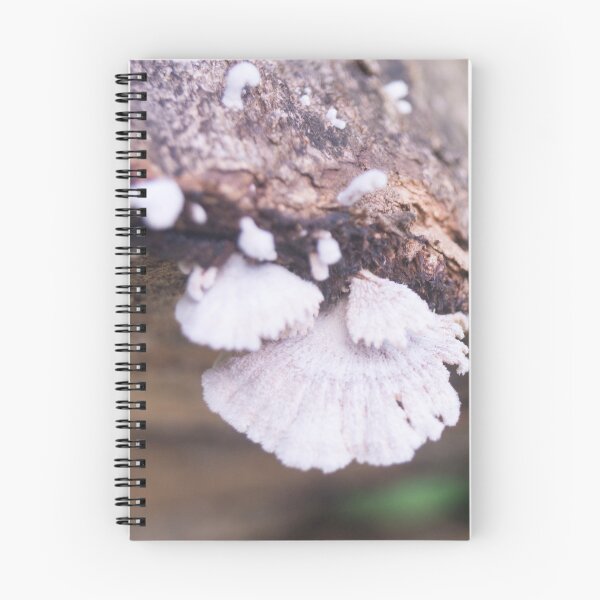 Item preview, Splitgill Mushroom designed and sold by ROSE ANN BANILAR.