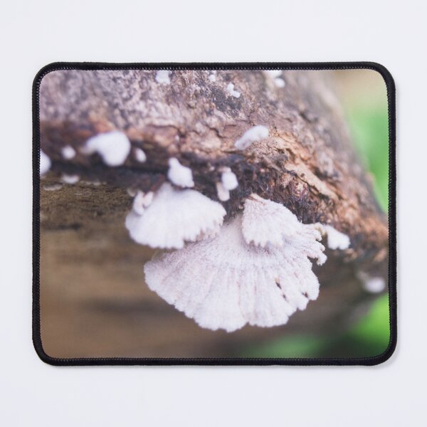 Item preview, Splitgill Mushroom designed and sold by ROSE ANN BANILAR.