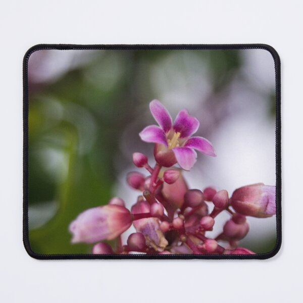 Item preview, star fruit tree blossoms designed and sold by ROSE ANN BANILAR.