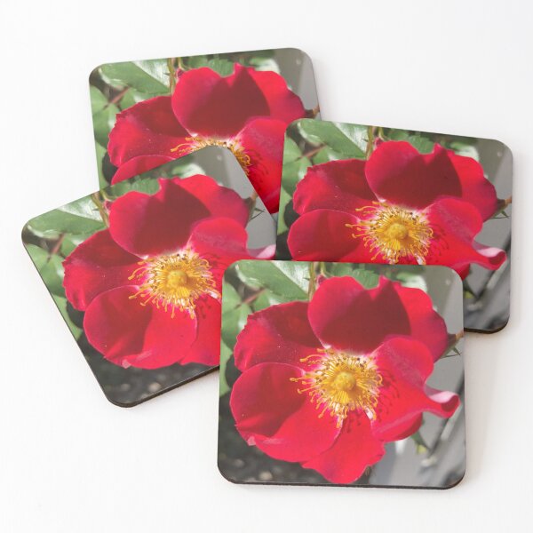 Item preview, Red Rose  designed and sold by Amanda1775.