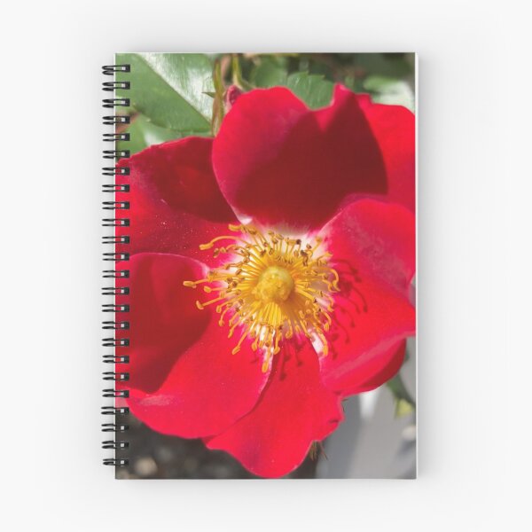 Item preview, Red Rose  designed and sold by Amanda1775.