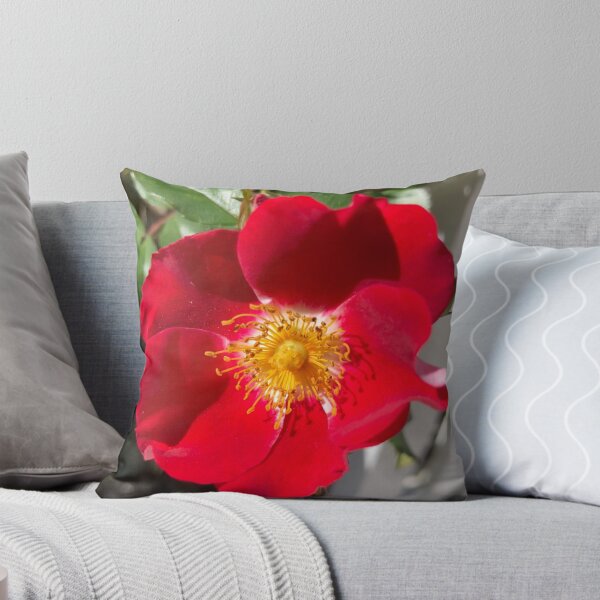 Item preview, Red Rose  designed and sold by Amanda1775.
