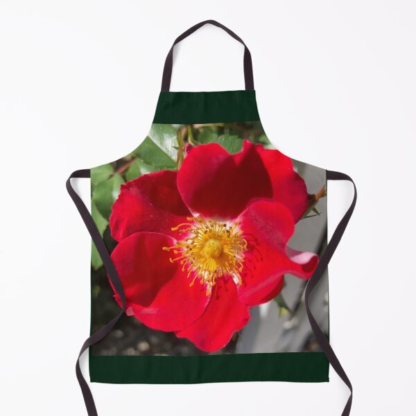 Item preview, Red Rose  designed and sold by Amanda1775.