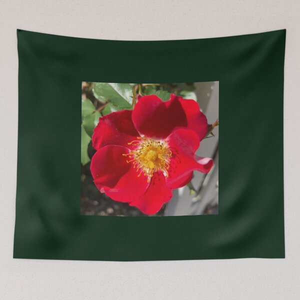 Item preview, Red Rose  designed and sold by Amanda1775.