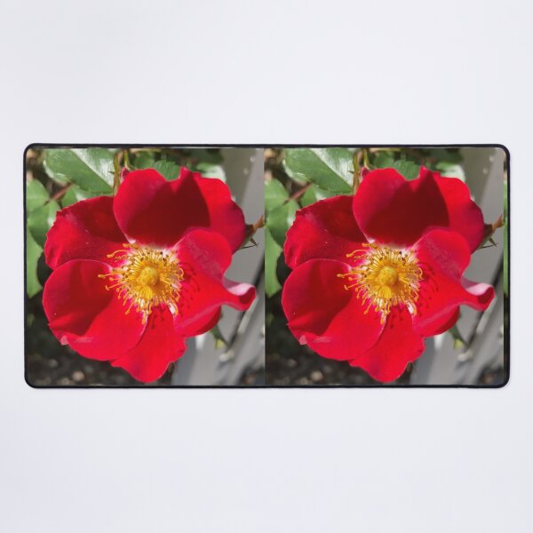 Item preview, Red Rose designed and sold by Amanda1775.