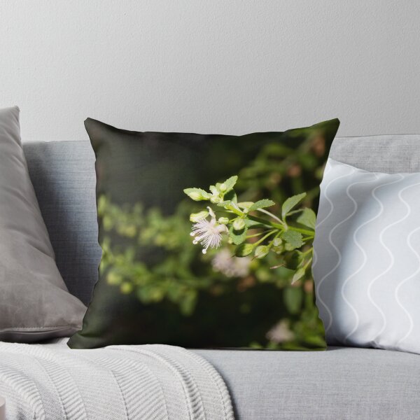 Item preview, sweet broomweed, licorice weed, or goatweed designed and sold by ROSE ANN BANILAR.
