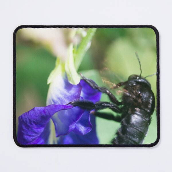 Item preview, Bee on Blue Flower designed and sold by ROSE ANN BANILAR.