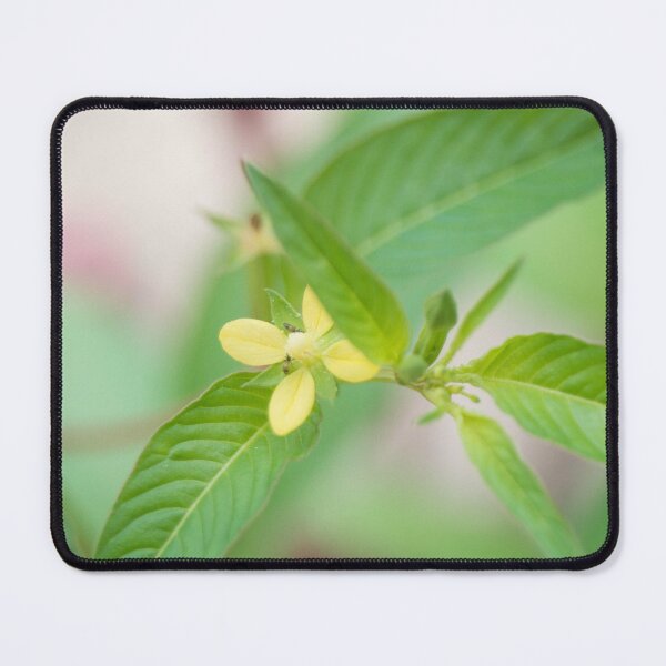 Item preview, Ludwigia_02 designed and sold by ROSE ANN BANILAR.
