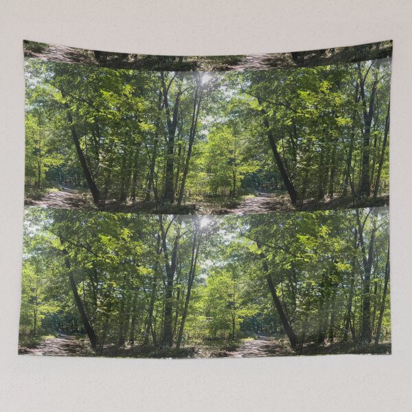 Item preview, Sun Shining Through the Trees  designed and sold by Amanda1775.