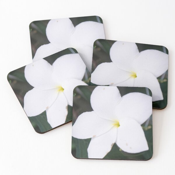 Item preview, Plumeria pudica designed and sold by ROSE ANN BANILAR.