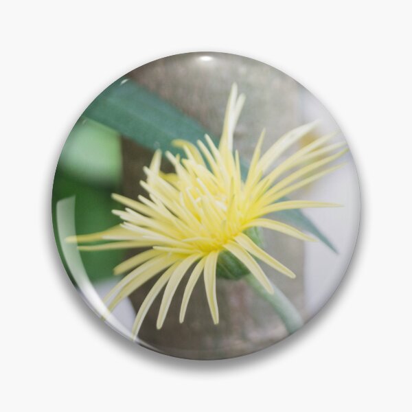 Item preview, Gerbera Daisy designed and sold by ROSE ANN BANILAR.