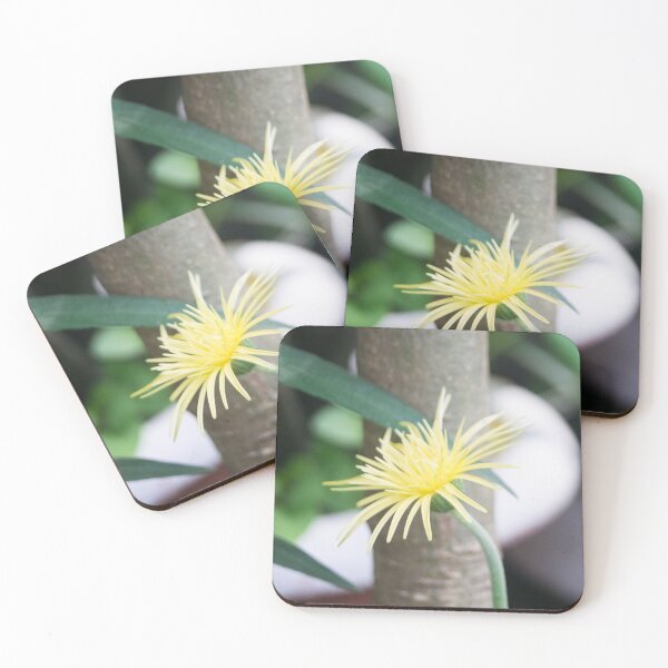 Item preview, Gerbera Daisy designed and sold by ROSE ANN BANILAR.