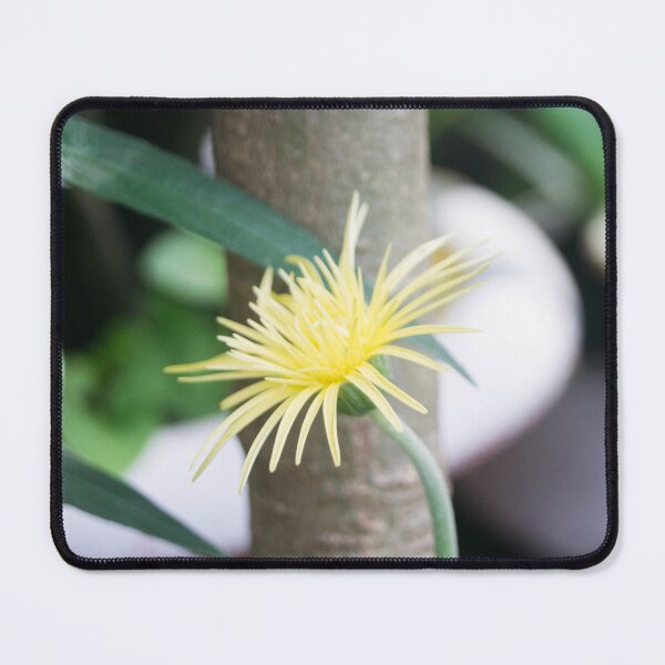 Item preview, Gerbera Daisy designed and sold by ROSE ANN BANILAR.
