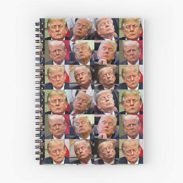 Item preview, Sleepy Don - trump sleeping montage designed and sold by Thelittlelord.