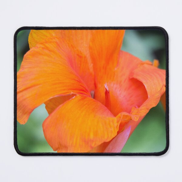 Item preview, orange Canna Lily designed and sold by ROSE ANN BANILAR.