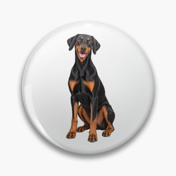Item preview, Black and tan Doberman Dog with Natural Ears designed and sold by BackgroundND.