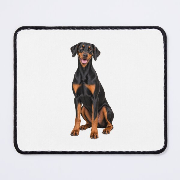 Item preview, Black and tan Doberman Dog with Natural Ears designed and sold by BackgroundND.