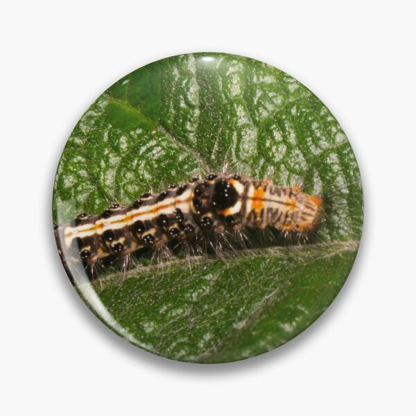 Item preview, Yellow-tail moth caterpillar designed and sold by ROSE ANN BANILAR.