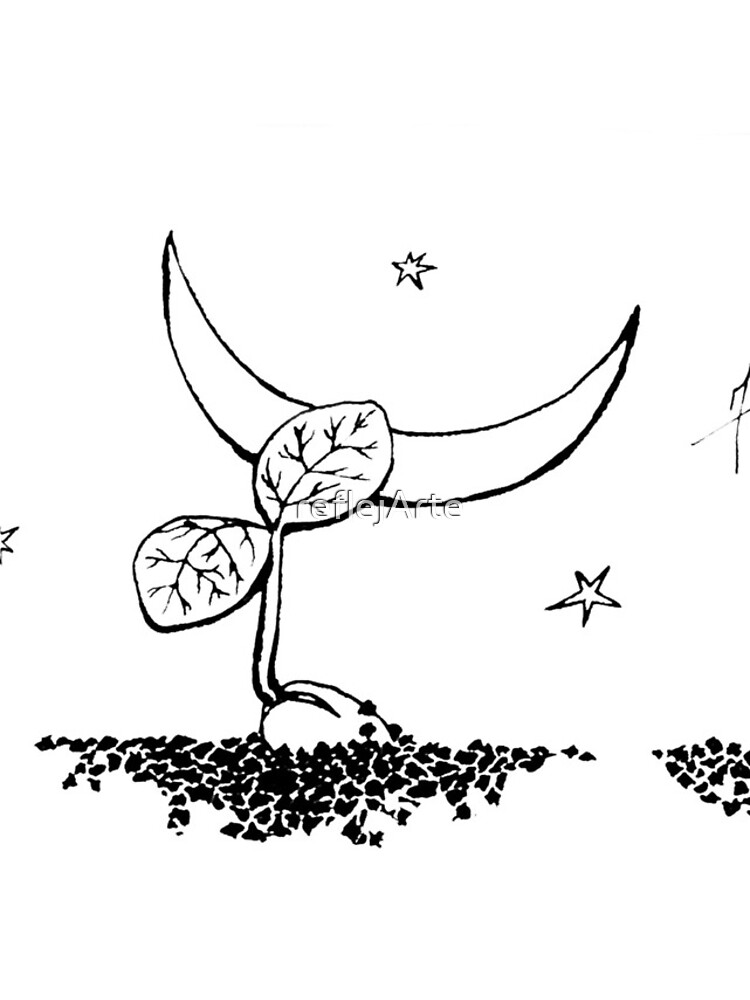 New Moon by reflejArte