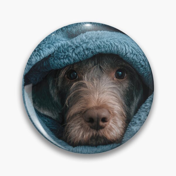 Item preview, German Wirehaired Pointer Puppy in Blanket 01 designed and sold by Elisabeth Lucas.