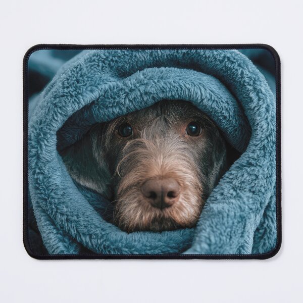 Item preview, German Wirehaired Pointer Puppy in Blanket 01 designed and sold by Elisabeth Lucas.