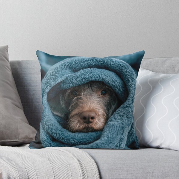 Item preview, German Wirehaired Pointer Puppy in Blanket 01 designed and sold by Elisabeth Lucas.