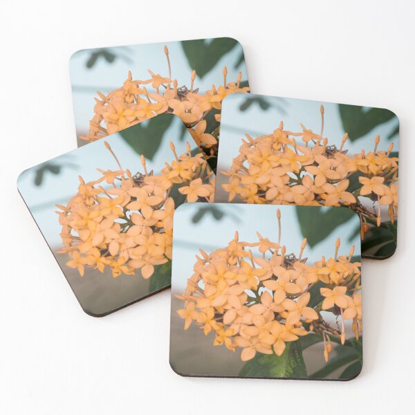 Item preview, Orange Ixora flowers designed and sold by ROSE ANN BANILAR.