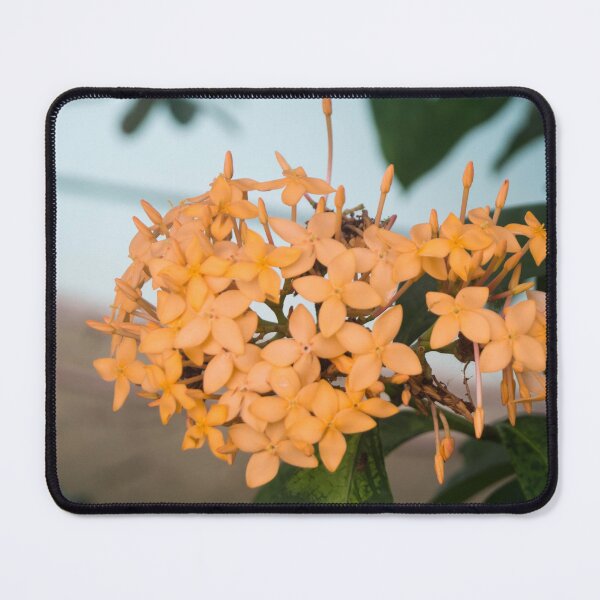 Item preview, Orange Ixora flowers designed and sold by ROSE ANN BANILAR.
