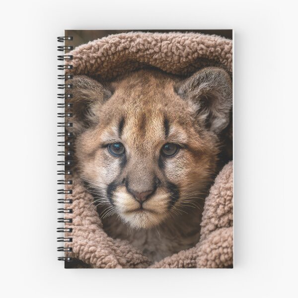Artikelvorschau, Puma-Junges in Decke 01 entworfen und verkauft von Elisabeth Lucas.