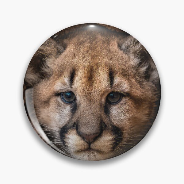 Item preview, Puma Cub in Blanket 01 designed and sold by Elisabeth Lucas.
