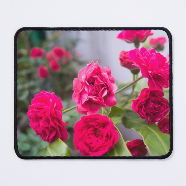 Item preview, A Bed of Roses designed and sold by ROSE ANN BANILAR.