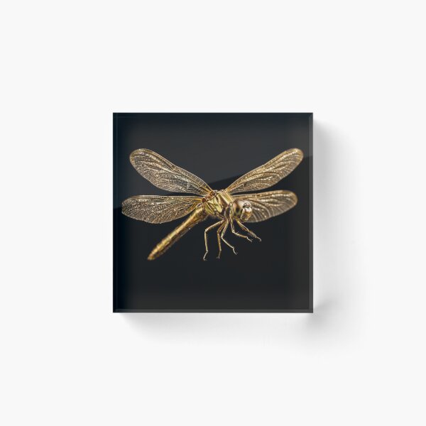 Item preview, Golden Dragonfly designed and sold by Phitwhim.