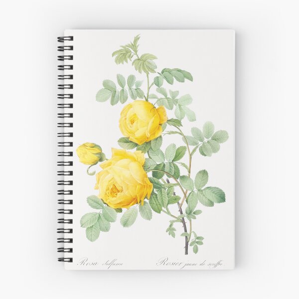 Item preview, Yellow Rose Flowers Vintage Botanical Illustration designed and sold by TheRetroArtRoom.