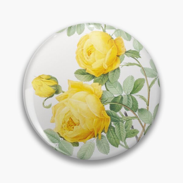 Item preview, Yellow Rose Flowers Vintage Botanical Illustration designed and sold by TheRetroArtRoom.
