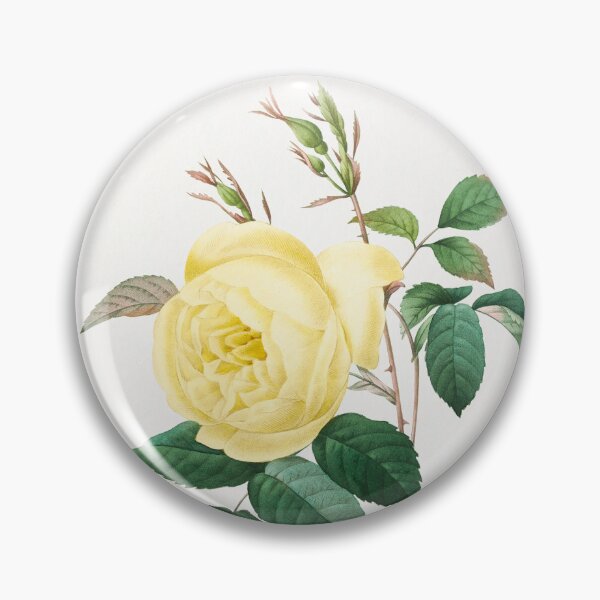Item preview, Yellow Rose Flowers Vintage Botanical Illustration designed and sold by TheRetroArtRoom.