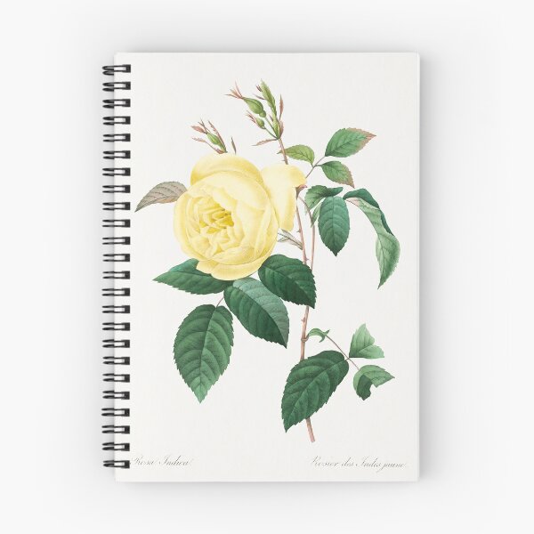Item preview, Yellow Rose Flowers Vintage Botanical Illustration designed and sold by TheRetroArtRoom.