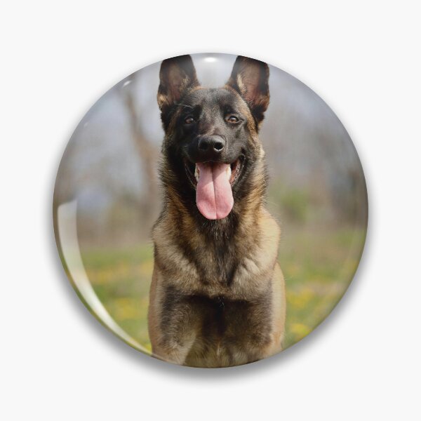 Item preview, Portrait of Belgian Malinois Dog designed and sold by VanGaldo.
