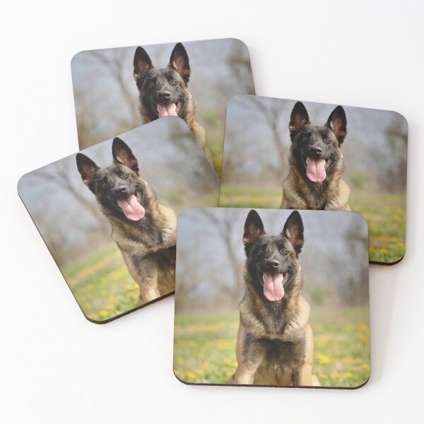 Item preview, Portrait of Belgian Malinois Dog designed and sold by VanGaldo.