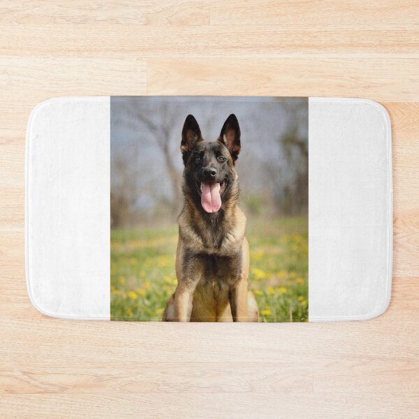 Item preview, Portrait of Belgian Malinois Dog designed and sold by VanGaldo.