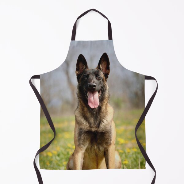 Item preview, Portrait of Belgian Malinois Dog designed and sold by VanGaldo.