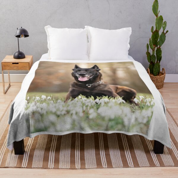 Aperçu de l'œuvre Chien Malinois belge couché sur des fleurs blanches créée et vendue par VanGaldo.