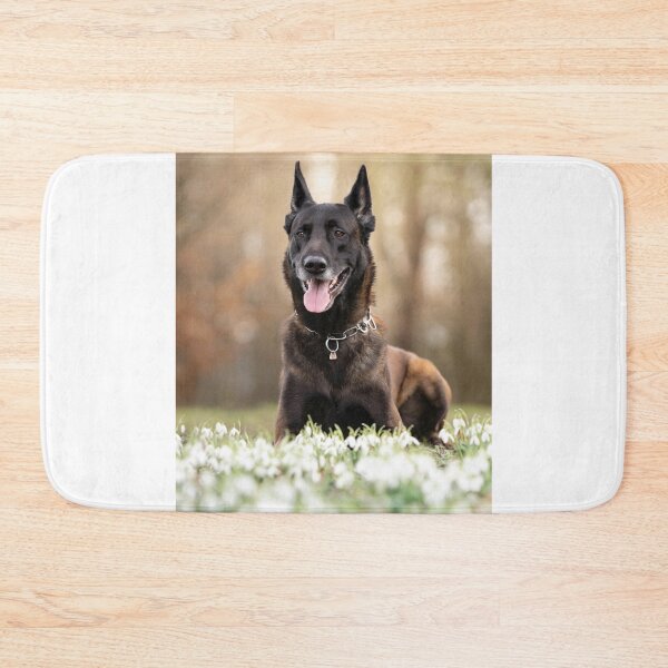 Item preview, Belgian Malinois Dog Lying on White Flowers designed and sold by VanGaldo.