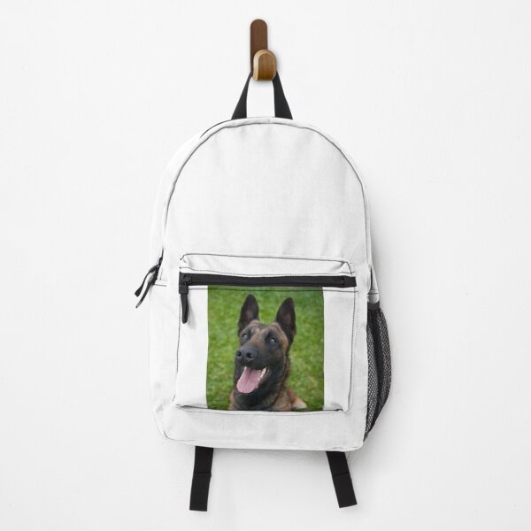 Item preview, Belgian Malinois Dog Waiting for Command designed and sold by VanGaldo.
