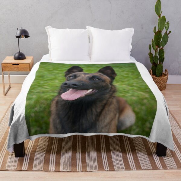 Item preview, Belgian Malinois Dog Waiting for Command designed and sold by VanGaldo.