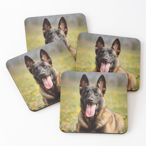 Item preview, Belgian Malinois Relaxing on the Grass designed and sold by VanGaldo.