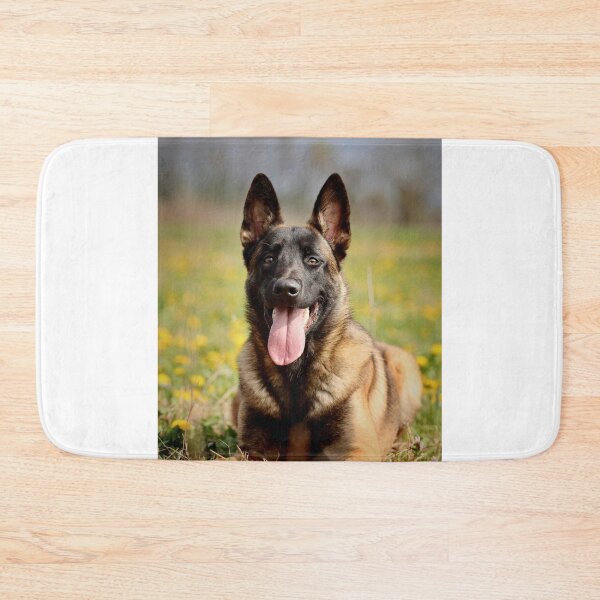 Item preview, Belgian Malinois Relaxing on the Grass designed and sold by VanGaldo.