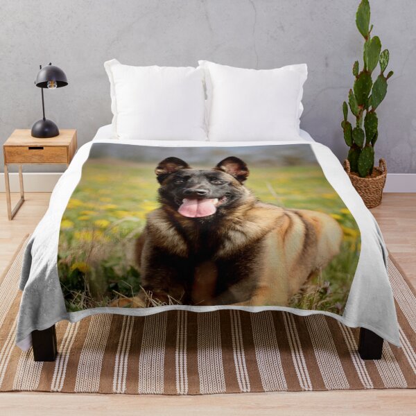 Aperçu de l'œuvre Malinois belge se prélassant sur l'herbe créée et vendue par VanGaldo.