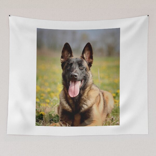 Item preview, Belgian Malinois Relaxing on the Grass designed and sold by VanGaldo.