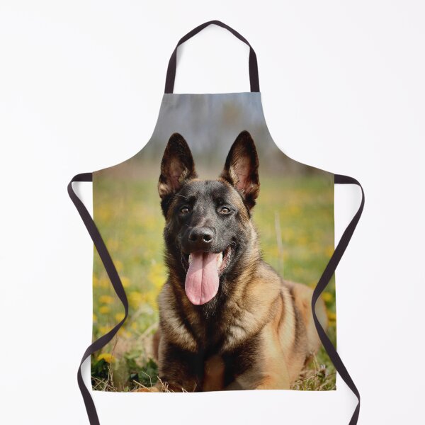 Item preview, Belgian Malinois Relaxing on the Grass designed and sold by VanGaldo.
